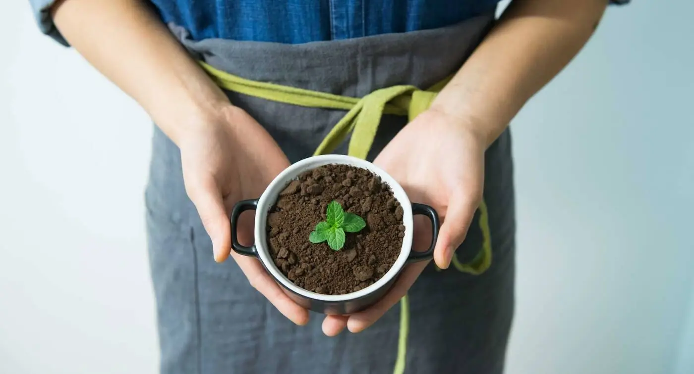The environmental impact of spray foam insulation: Is it really Eco-Friendly?